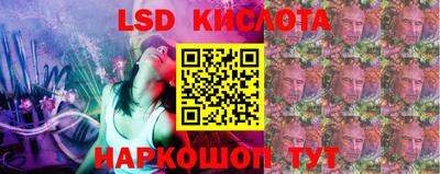стаф Славгород