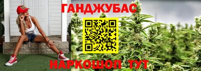 стаф Славгород